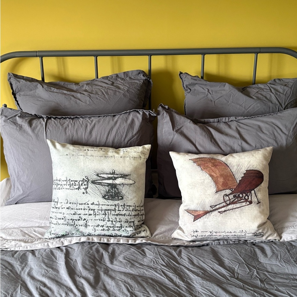 2 Printed Accent Pillows